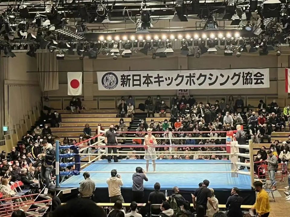 国际泰拳争, 谈及未来, Wp 国际泰拳争, 谈及未来, Wp